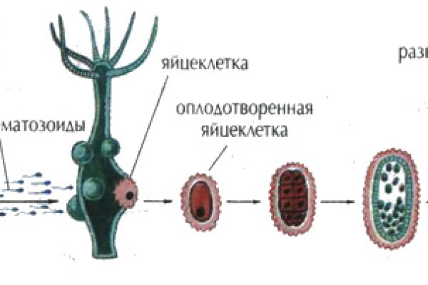 Кракен русский