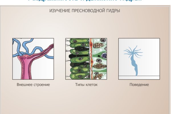 Как зайти на кракен даркнет